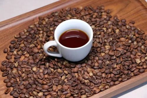 保山小粒咖啡榮獲 全國名特優(yōu)新農產品 稱號