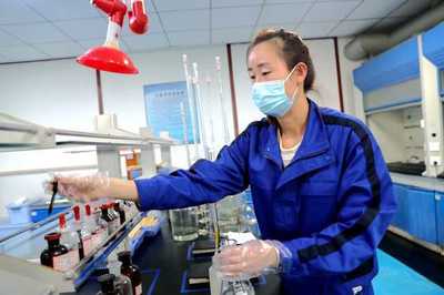 寧夏平羅縣:聚力打造高質量發(fā)展新&ldquo;引擎&rdquo;