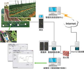 浙江省慈鎮(zhèn)特色農(nóng)業(yè)的推動(dòng)者 智慧農(nóng)業(yè)種植技術(shù)與聯(lián)網(wǎng)信息互動(dòng)服務(wù)